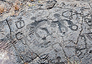Pu'u Loa Hawaiian Rock Petroglyphs