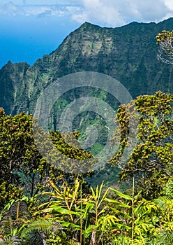 Pu`u O Kila Lookout over the Kalalau Valley in Kauai, Hawaii