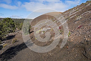 Pu`u pua`i cinder cone along byron ledge trail