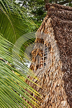 Pu'uhonua O Honaunau National Historical Park