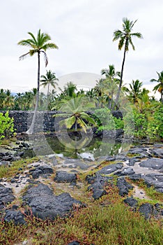 Pu`uhonua o Honaunau the Place of Refuge Big Island of Hawaii