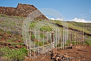 Pu'ukohola Heiau