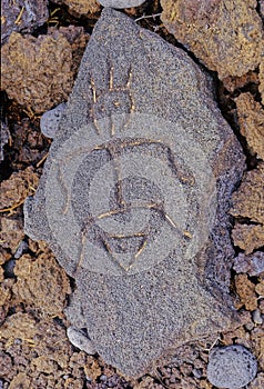 PuakÅ Petroglyph Archaeological Preserve