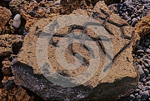 PuakÅ Petroglyph Archaeological Preserve