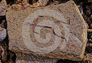 PuakÅ Petroglyph Archaeological Preserve