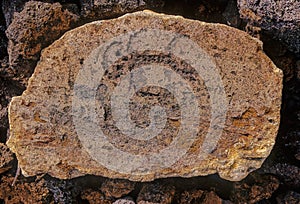 PuakÅ Petroglyph Archaeological Preserve