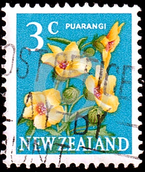 Puarangi or Venice Mallow Hibiscus trionum - New Zealand, circa 1967: postage stamp of the series Pictorial Definitives