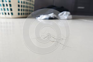 Pubic hair fall on floor photo