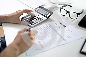 Public Account Tax Ledger And Budget