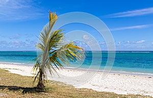 Public beach of Flic en Flac Mauritius overlooking the sea