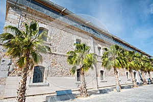 Public building with palms at high noon