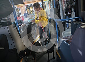 Public bus with pets