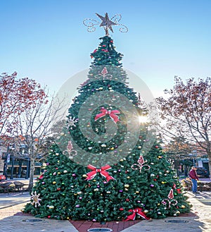 Public Christmas Tree on a courthouse square in Texas