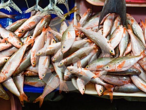 Public fish market in Iligan, Philippines.