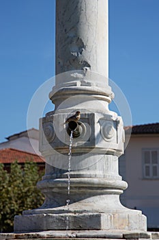 Public fontain with sparrow in Forte dei Marmi, ItalÃÂ²y photo