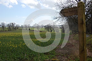 Public footpath