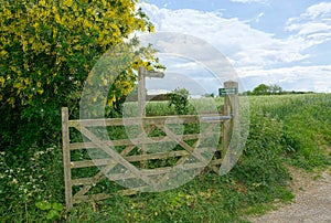 Public footpath sign. Wooden gate. photo