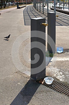 Public fountain in the park with containers of water to quench the thirst of all the animals that stop by to drink