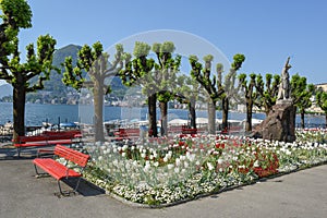 Public garden on the lakefront at Lugano on Switzerland