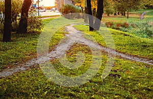 In the public garden near the highway, two footpaths merged into one. Conceptual landscape photo