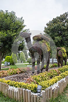 Public garden in Ordu city