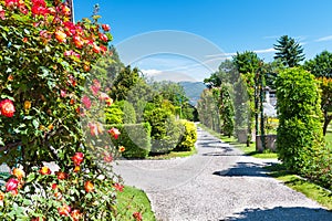 Public garden of Villa Taranto in Italy