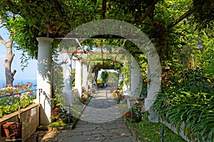 The public gardens of the Villa San Michele, Capri island, Mediterranean Sea, Italy