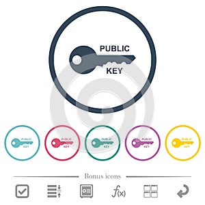 Public key flat color icons in round outlines