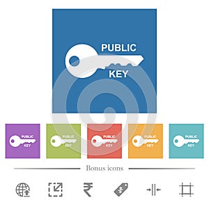 Public key flat white icons in square backgrounds