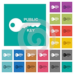 Public key square flat multi colored icons