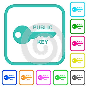 Public key vivid colored flat icons