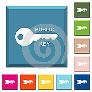 Public key white icons on edged square buttons