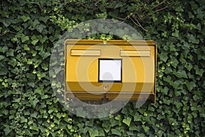 Public letterbox covered in ivy photo