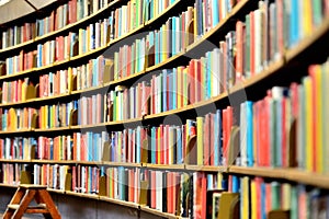 Public library bookshelf