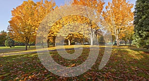 Public park Autumnl panorama Gresham Oregon.