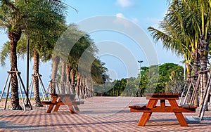 The Public park and public healthy place with two bench in the s