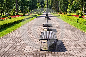 Public park with its benches