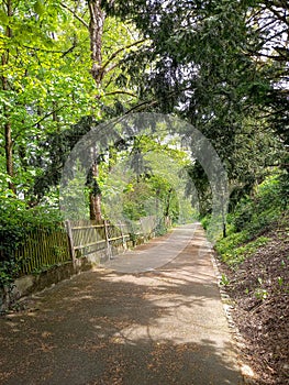 At the public park in Linz