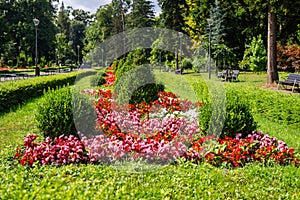 Public park with lush flowers