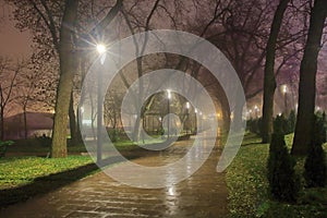 A public park in Odessa called Greek on a rainy foggy night
