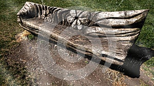 Public Park Seat Carved From An Old Tree