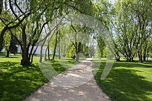 Public park in summer time, greenery, path throw and bench, sunny, blue sky