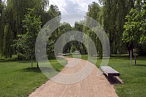 Public park in summer time, greenery, path throw and bench, sunny, blue sky