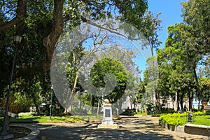 Public Park in a sunny day photo