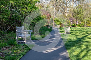 Public park walking path with grass trees and empty wooden benches