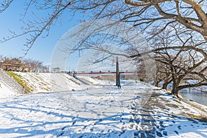 Public park with white snow