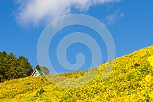 Public pavilion at Doi Mae Ukor, Thailand