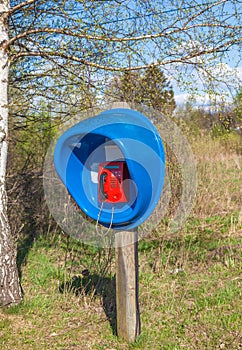 Public phone box in forest