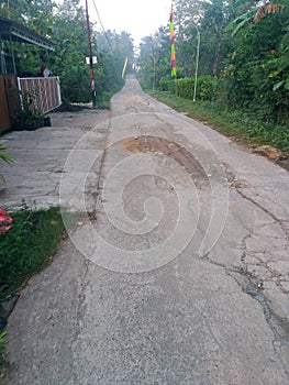 a public road that is casted with concrete in the middle of the rain forest