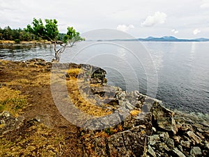 Public Ruckle Provincial Park shoreline on the Salt Spring Island